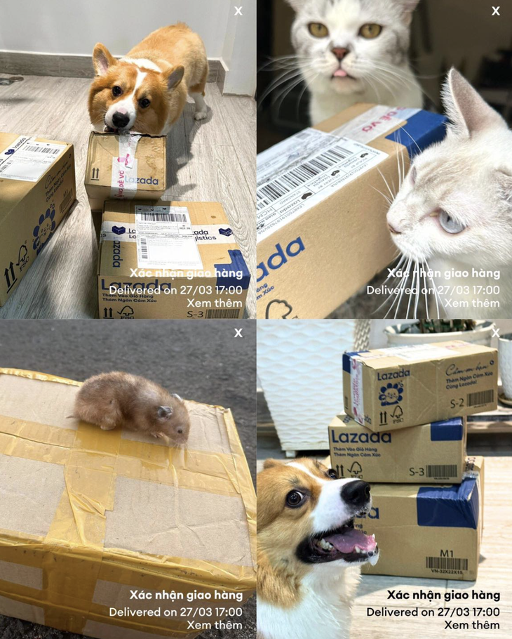 Hành động thôi anh em ơi! 