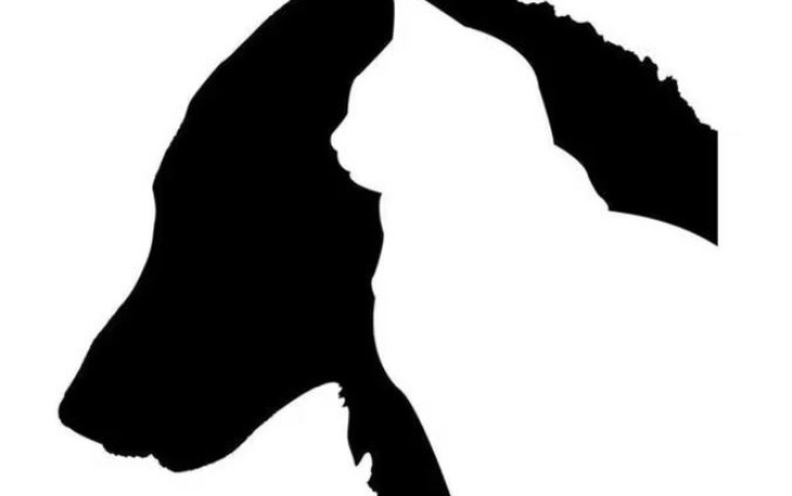 Hình ảnh tiết lộ bạn là người khiêm tốn hay kiêu ngạo?