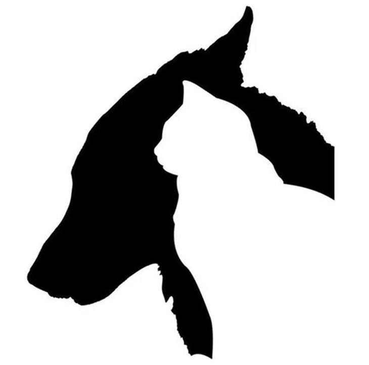 Hình ảnh tiết lộ bạn là người khiêm tốn hay kiêu ngạo?- Ảnh 1.