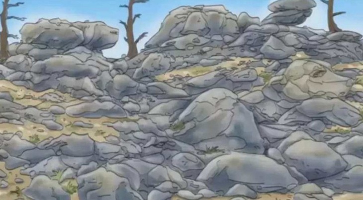 Mắt 10/10 có thấy con chó ở đâu?- Ảnh 1.