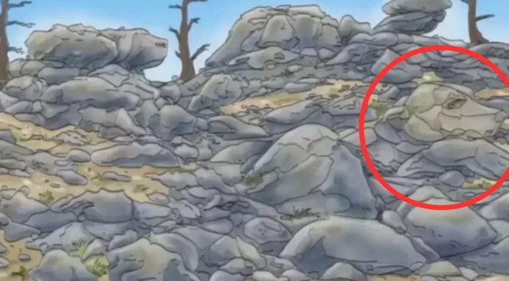 Mắt 10/10 có thấy con chó ở đâu?- Ảnh 2.