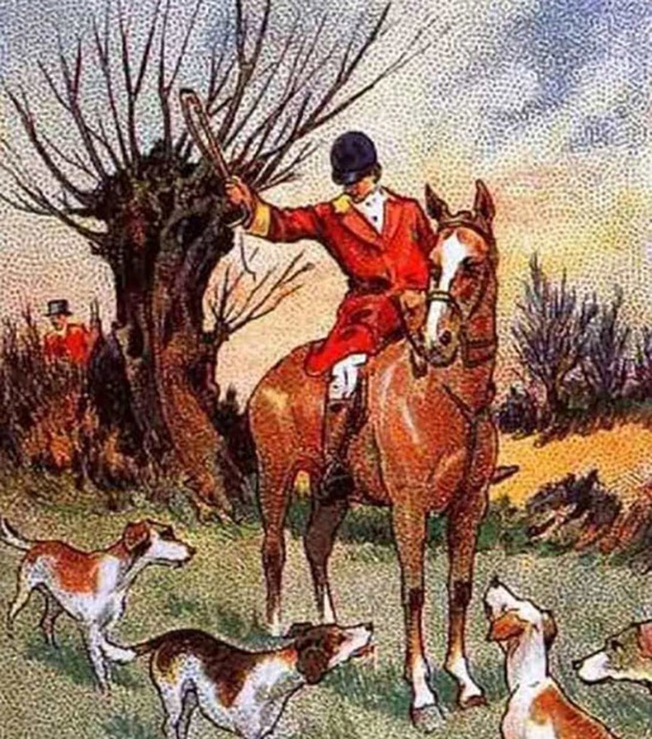 Thử tài tinh mắt: Con cáo ẩn náu ở đâu?- Ảnh 1.