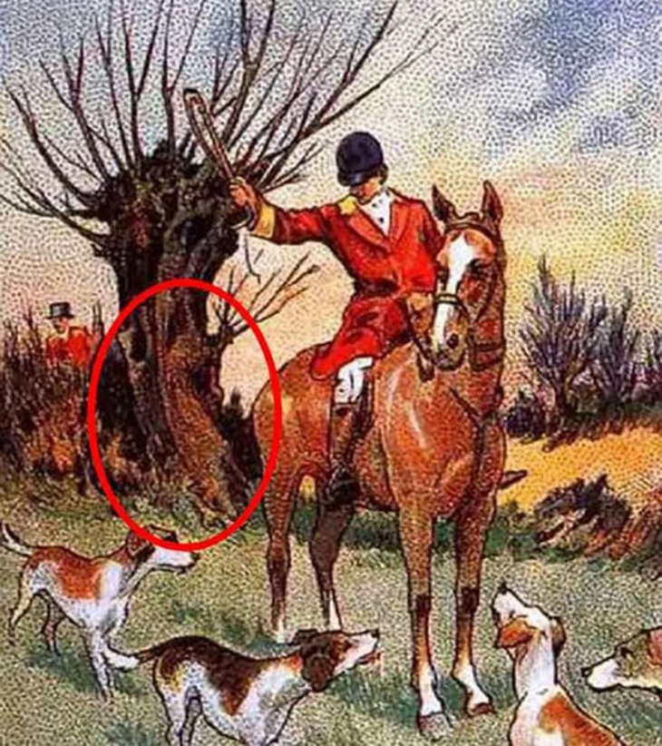 Thử tài tinh mắt: Con cáo ẩn náu ở đâu?- Ảnh 2.