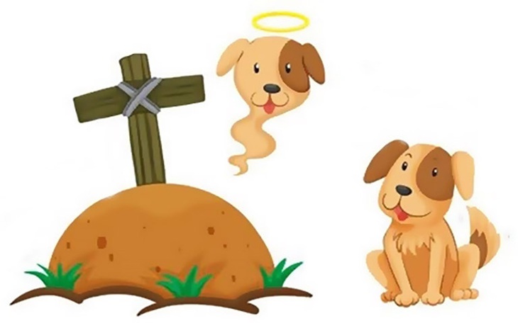 Câu đố hack não: Con gì chết rồi nhưng ai cũng bảo còn sống?