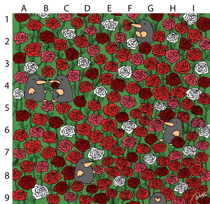 Thử tài tinh mắt: Con cáo ẩn náu ở đâu?- Ảnh 3.