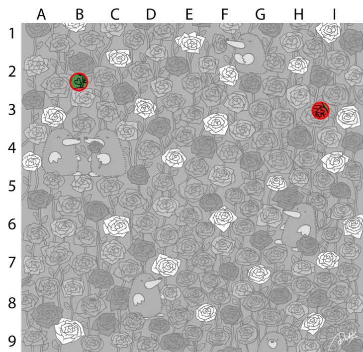 Thử tài tinh mắt: Con cáo ẩn náu ở đâu?- Ảnh 4.
