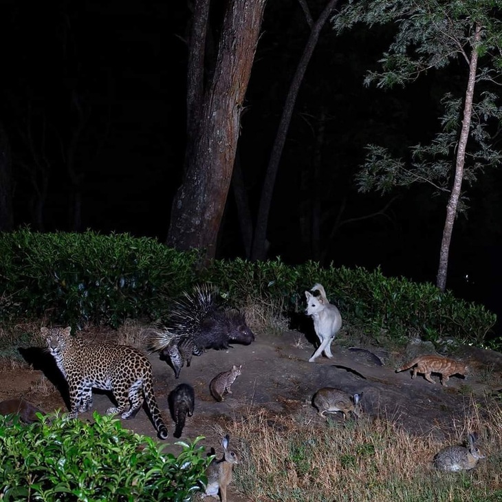 Họp hội đồng quản trị.