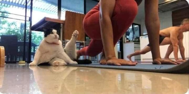 Dễ mà! Một... hai...