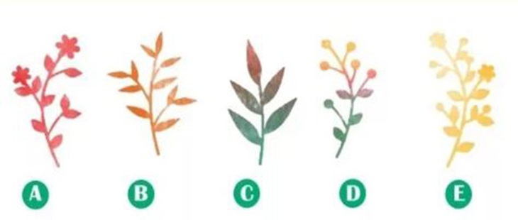 Quiz: Ba điều may mắn nào sẽ đến với bạn trong năm nay?- Ảnh 1.