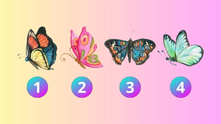 Quiz: Cuộc sống của bạn suôn sẻ hay sóng gió?- Ảnh 1.