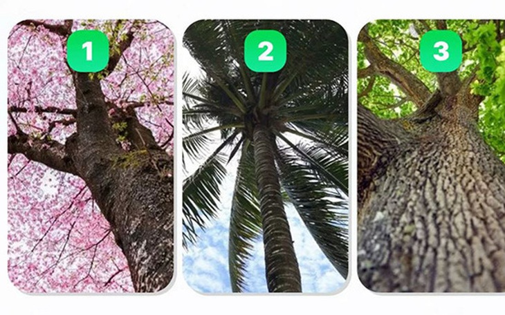 Quiz: Bạn là người mơ mộng hay thực tế?