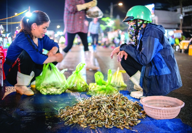 Người Hải Phòng vẫn ra chợ mua giá bể mỗi mùa. Ảnh: Lưu Quang Phổ