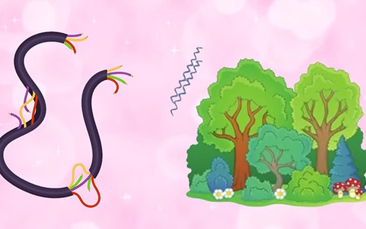 IQ cao có đoán được đây là câu tục ngữ, thành ngữ gì? (P69)