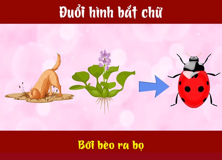 IQ cao có đoán được đây là câu tục ngữ, thành ngữ gì? (P68)- Ảnh 2.