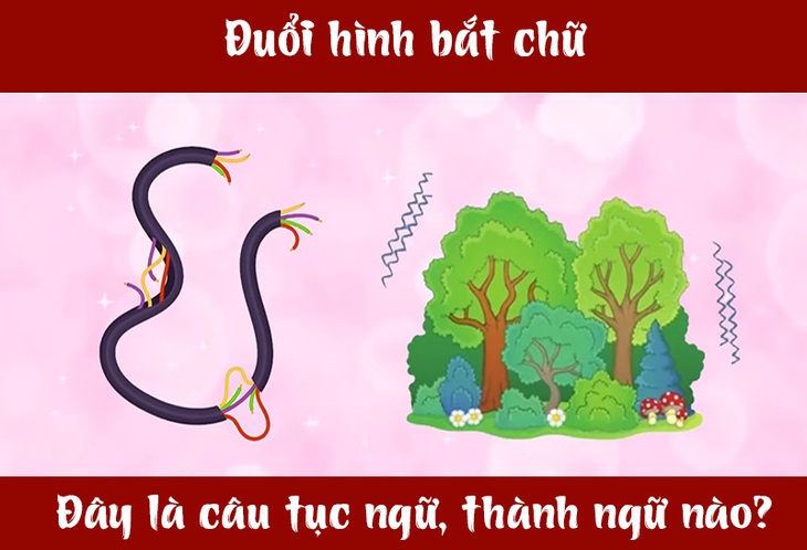 IQ cao có đoán được đây là câu tục ngữ, thành ngữ gì? (P69)- Ảnh 1.