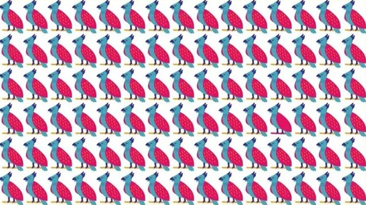 Mắt 10/10 có thấy người đánh cá ở đâu?- Ảnh 3.