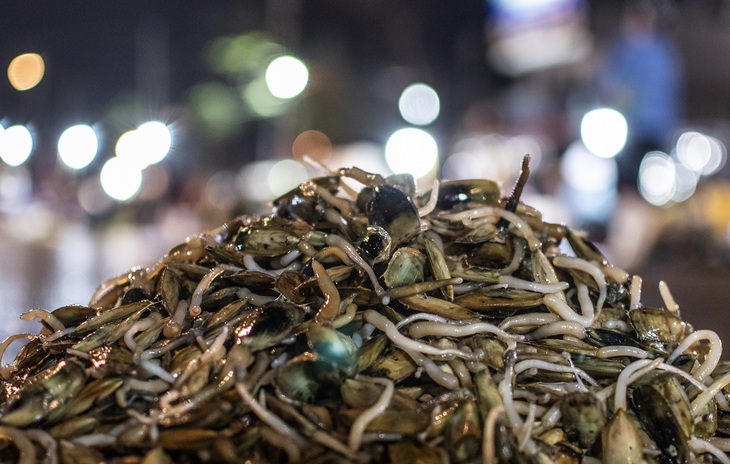 Ảnh: Lưu Quang Phổ