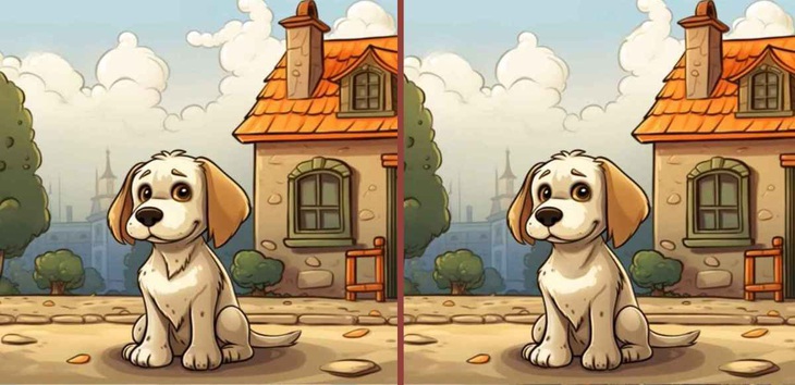 Mắt 10/10 có thấy người đàn ông ẩn giấu trong hình?- Ảnh 5.