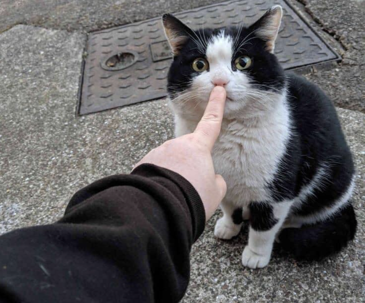 Em be bé cái mồm lại. 