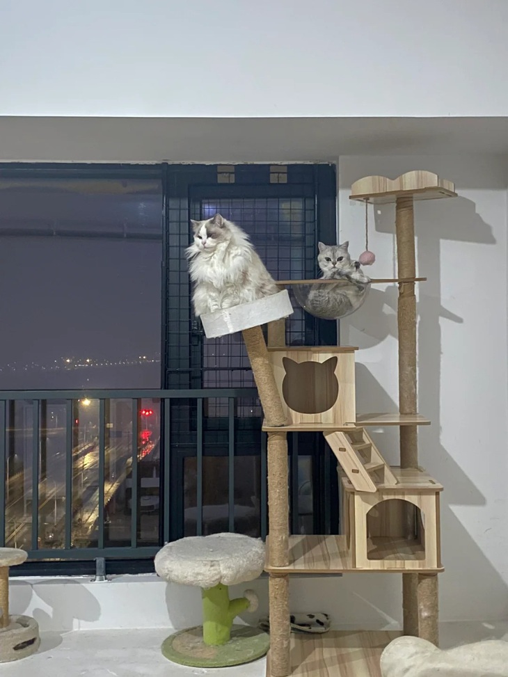 Khi vũ trụ lên đèn, thành phố ngả nghiêng...