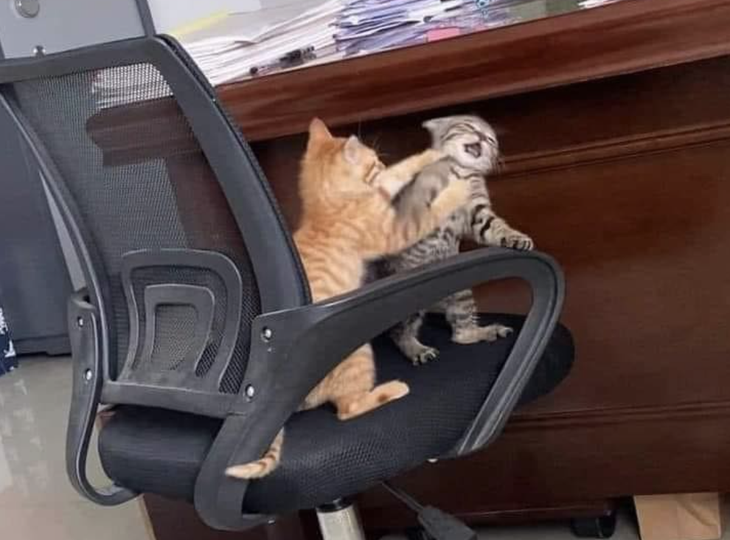 Sao anh nói chỉ có mình tôi?! 