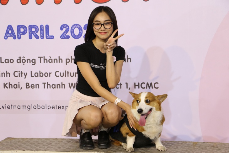 Corgi mũm mĩm thi marathon, nhiều chú quên cả chạy