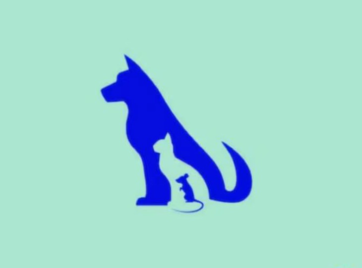 Quiz: Bạn đối mặt với nghịch cảnh thế nào?- Ảnh 1.