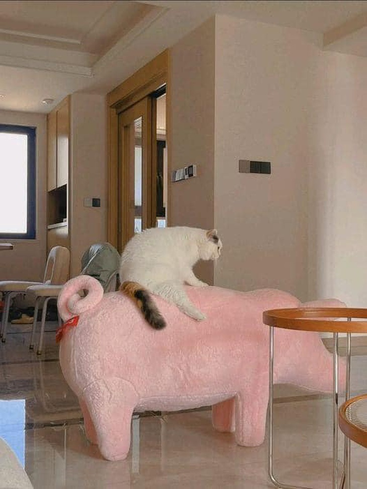 Lộc cà lộc lộc cà nhong nhong nhong...