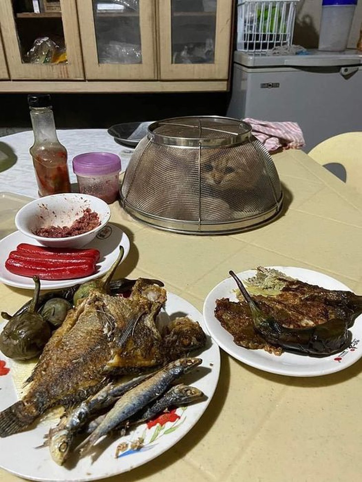 Ở chung với nhau mà chẳng tin tưởng chút nào?!