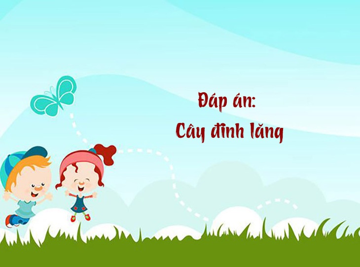 Câu đố hack não: Đinh gì có thể ăn và uống được?- Ảnh 2.