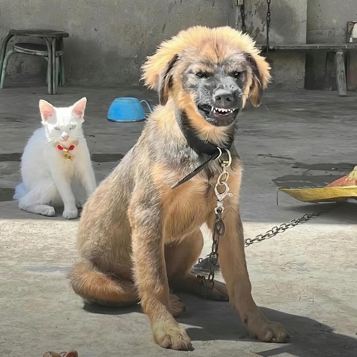 Mỹ nhân cùng "nụ cười trạm xá" của mình. 