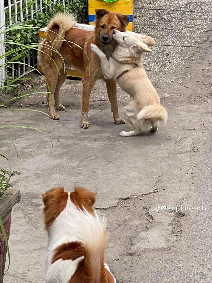 Em đành là người đến sau. 