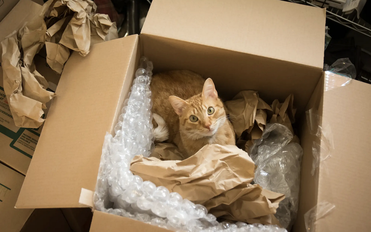 Người Thái rước mèo máy Doraemon để... cầu mưa- Ảnh 3.