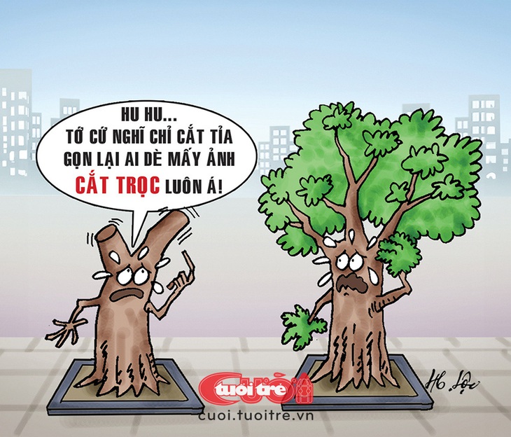 Cây xanh đô thị bị cắt đầu đinh - Tranh: Hữu Lộc 