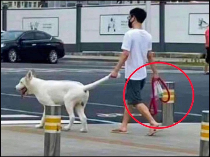 Ủa, vậy là sao?!