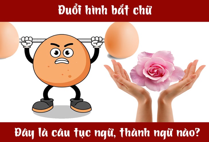 IQ cao có đoán được đây là câu tục ngữ, thành ngữ gì? (P67)- Ảnh 3.