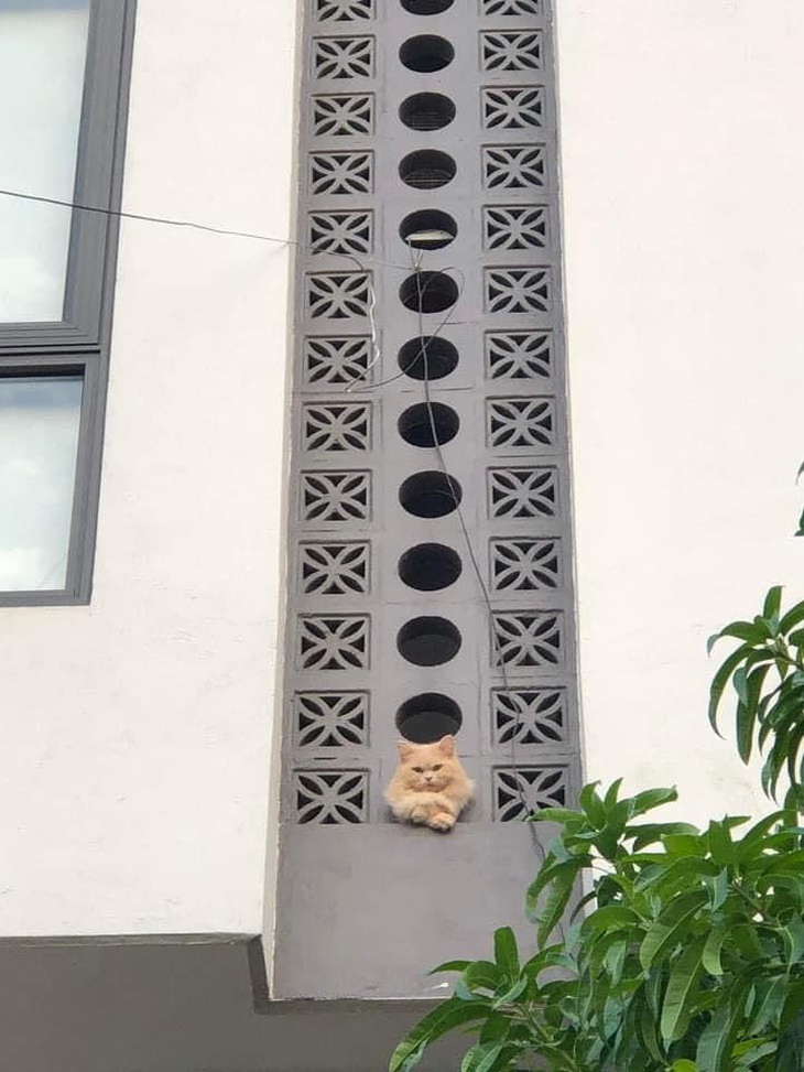 Muốn ở vị trí của tôi ư? Khó lắm à nghen! 