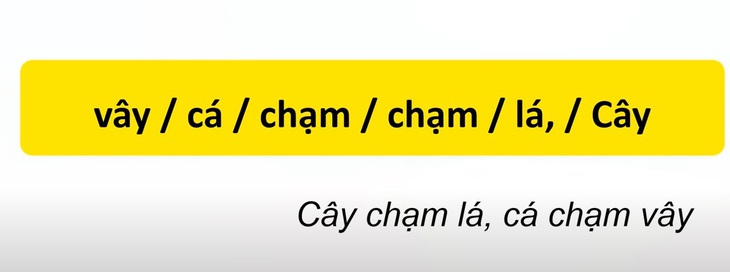 Thử tài tiếng Việt: Sắp xếp các từ sau thành câu có nghĩa (P81)- Ảnh 4.
