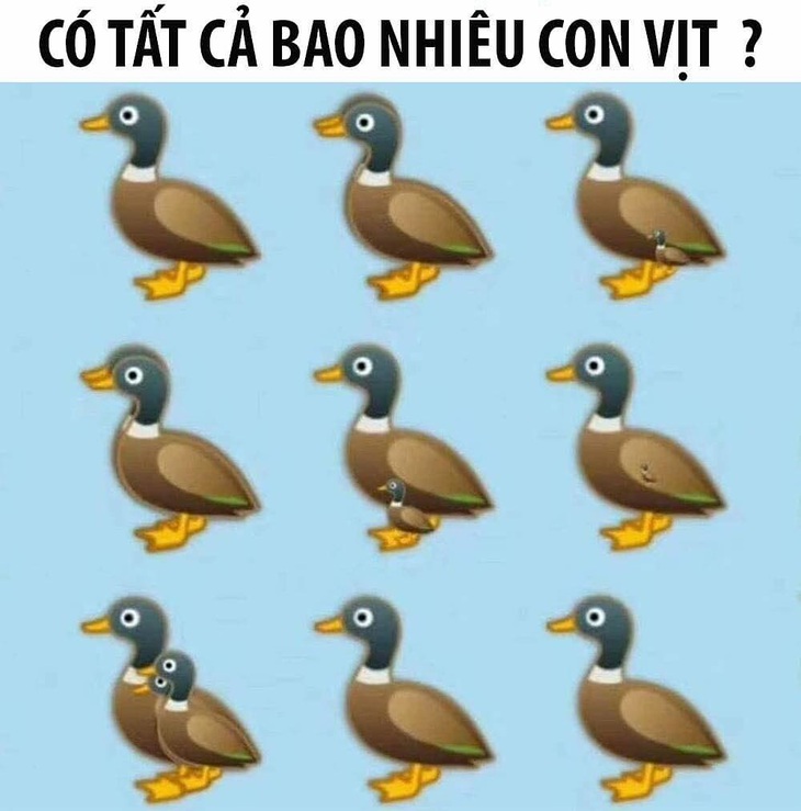 Bố vợ của em rể của chồng chị dâu thì gọi là gì?- Ảnh 4.