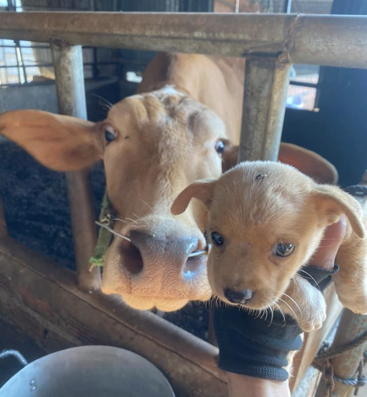 Ủa lộn rồi. Bé này không phải con tôi. 