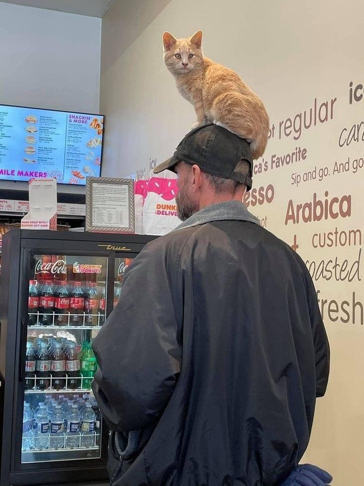 Đè đầu cưỡi cổ là vậy nè! 