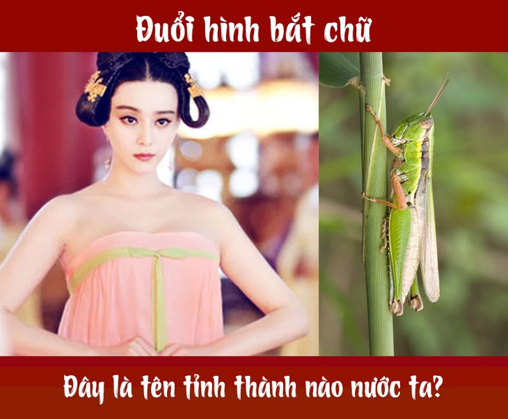 IQ cao có đoán được đây là tỉnh thành nào nước ta? (P53)- Ảnh 1.