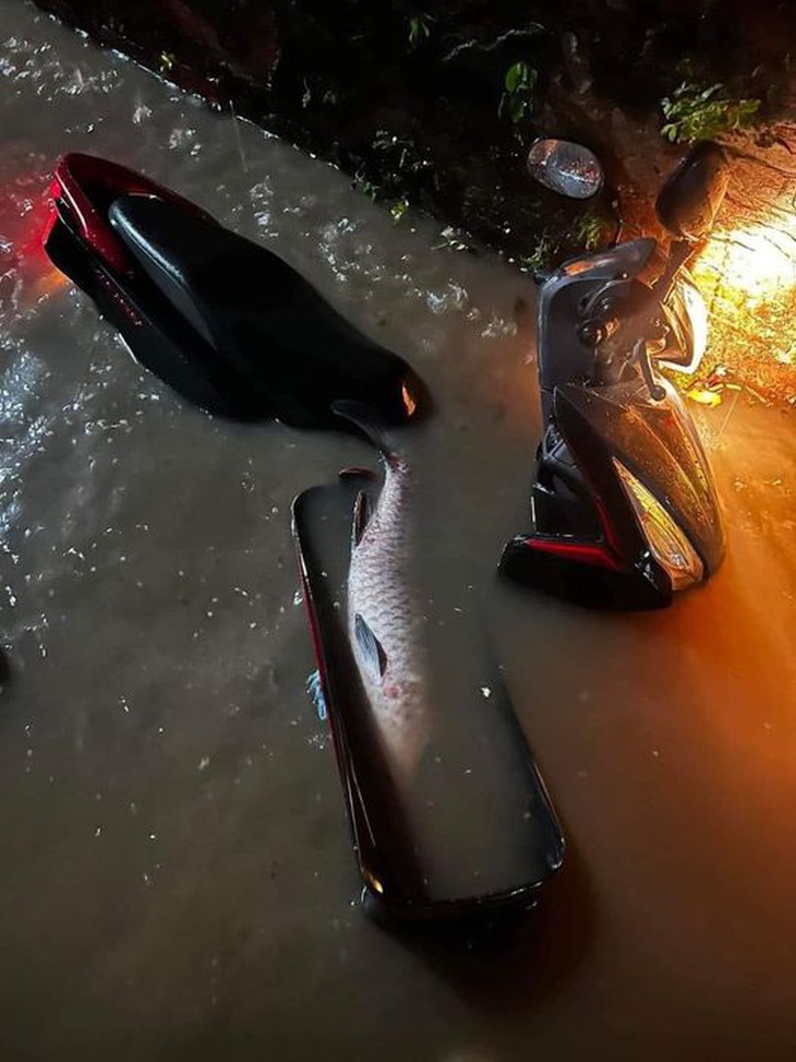 Trong cái khó có cá ăn.