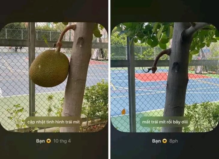 Cập nhật tình hình...