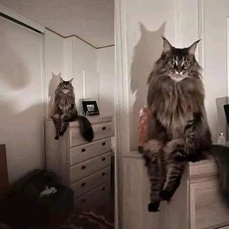 Nửa đêm thức dậy thì "ối giời ôi".