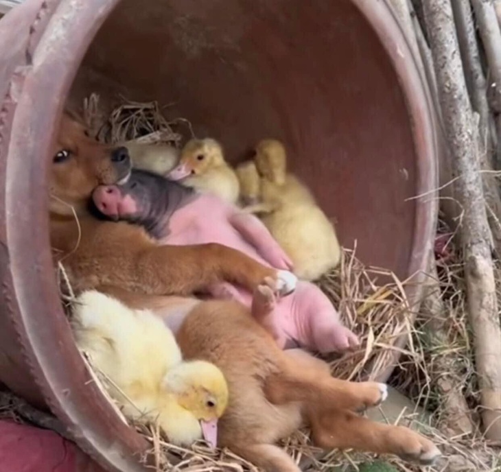 Gia đình hạnh phúc. 