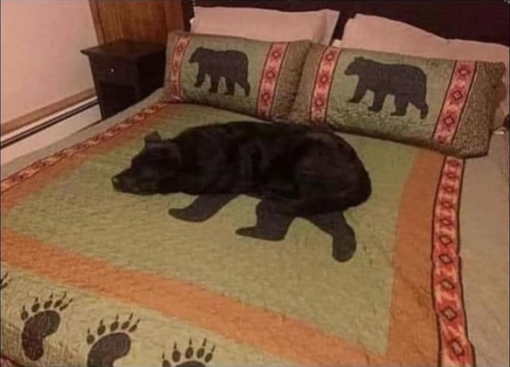 Suýt nữa thì ngất.