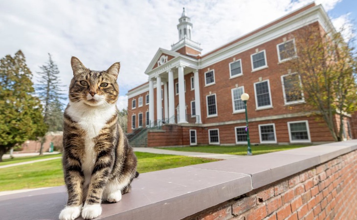 Max Dow trở thành tiến sĩ danh dự của Đại học Vermont.