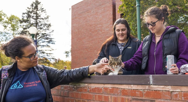 Chú mèo từng đi hoang trở thành chỗ dựa tinh thần cho nhiều sinh viên trong trường.