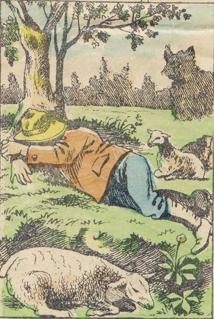 Mắt 10/10 mới thấy con sói trốn ở đâu- Ảnh 1.